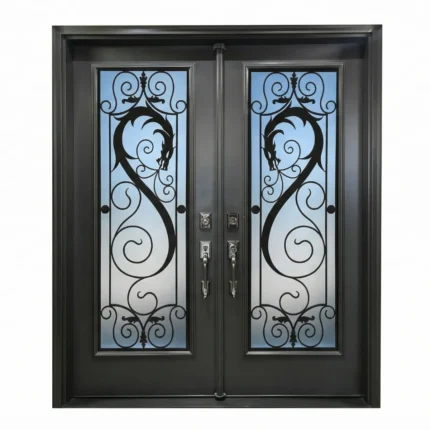 W19 Dragon Luxury Wrought Iron Entry Door - Maximum Privacy Acid Etched Glass for GTA Homes