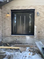 SD008 steel entry door original product view