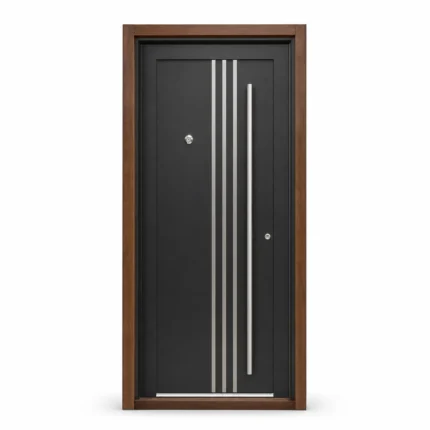 SD020 steel entry door Amazon white background