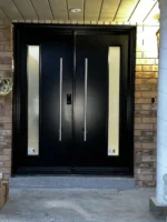SD039 steel entry door original product view