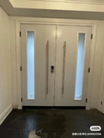 SD071 steel entry door original product view