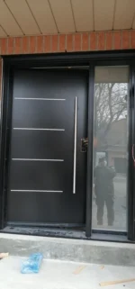 SD109 steel entry door original product view