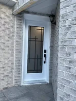 SD154 steel entry door original product view