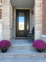 SD196 steel entry door original product view