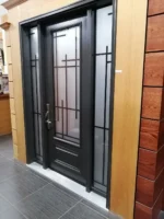 SD202 steel entry door original product view