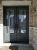 SD207 steel entry door original product view