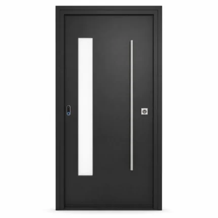 SD212 steel entry door Amazon white background